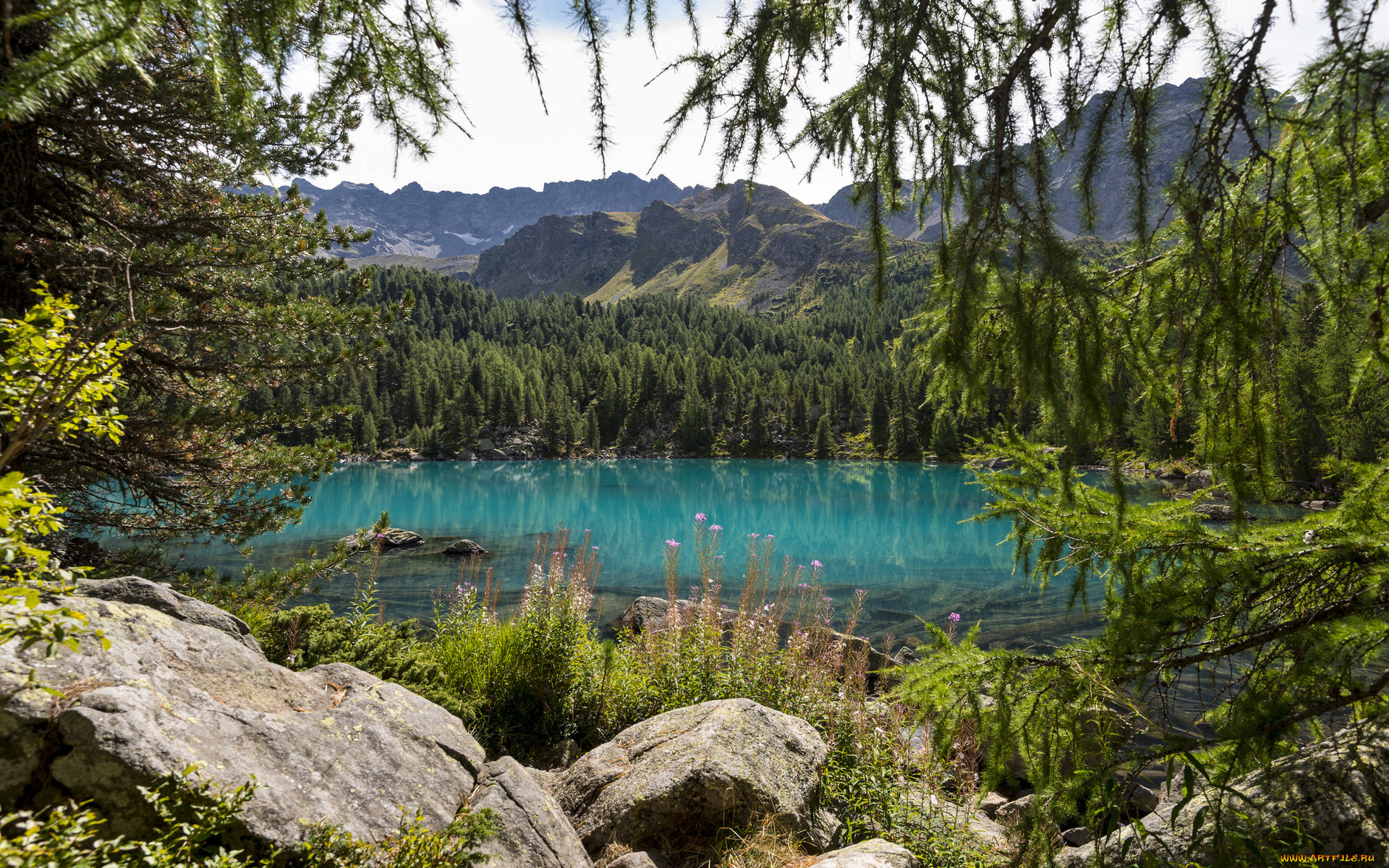 lake, , , , , 